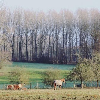 Sint-Lievens wandelroute