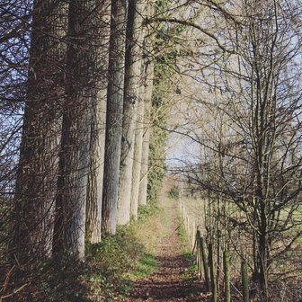 Sint-Lievens wandelroute