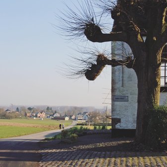 Sint-Lievens wandelroute