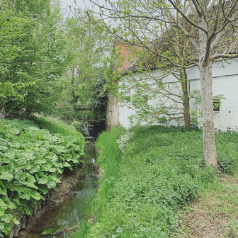 Paterroute