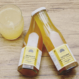 Mrs. Peacock Syrups Satsuma siroop (25cl)