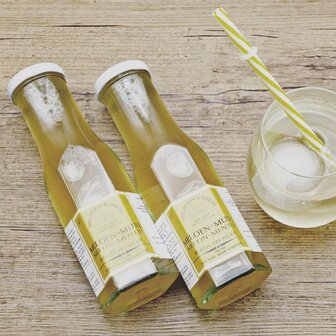 Mrs. Peacock Syrups Meloen-munt siroop (25cl)