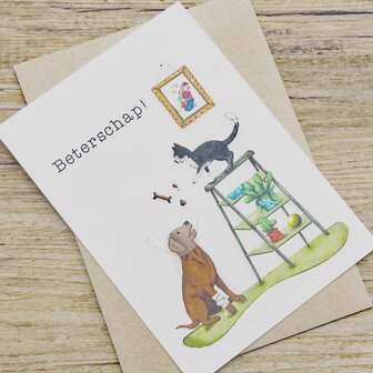 Vive le V&eacute;ro Wenskaart Beterschap