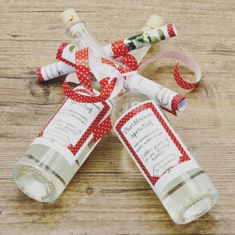 De Vierhoekhoeve Vlierbloesem aperitief (100ml)