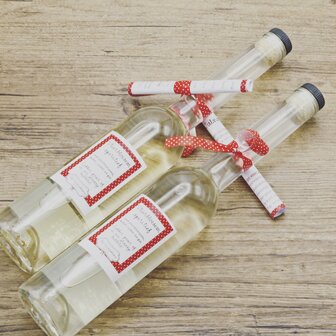De Vierhoekhoeve Vlierbloesem aperitief (350ml)