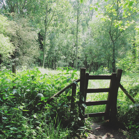 Sint-Lievens wandelroute