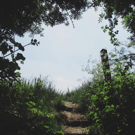 Sint-Lievens wandelroute