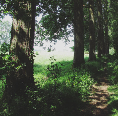 Sint-Lievens wandelroute