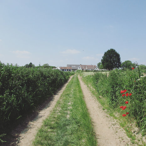 Sint-Lievens wandelroute