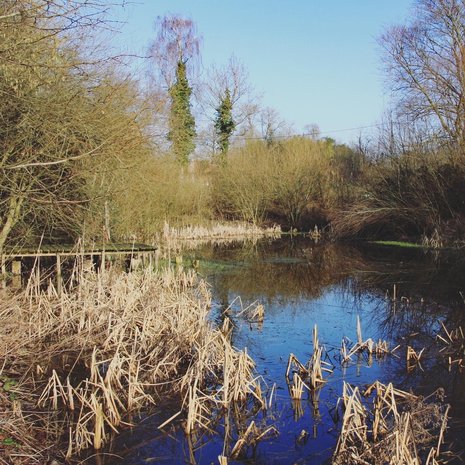 Sint-Lievens wandelroute