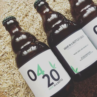 De Bronne 0420 hennepbier (33cl)