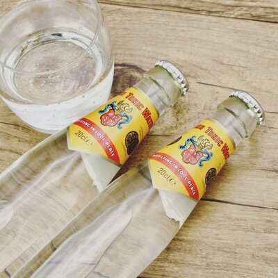 Ginstberg Wilson Tonic (20cl) Ginstberg Wilson Tonic (20cl)